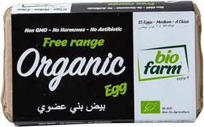 Bio Farm Free Range Organic Brown Egg Medium 15pcs