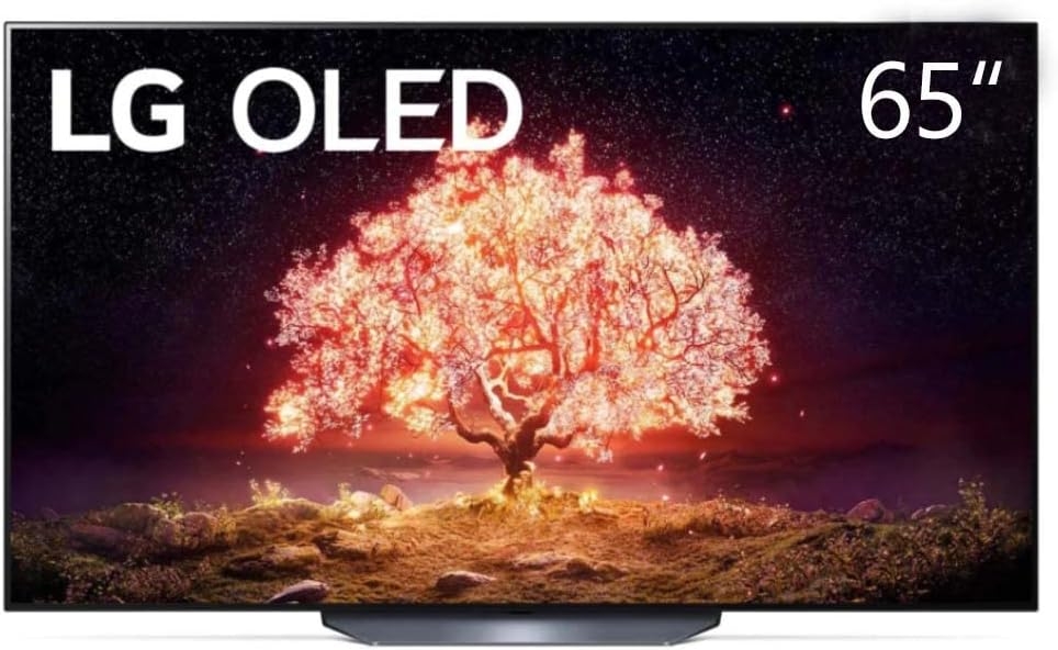 LG OLED65B1PVA 4K Smart OLED Television 65inch
